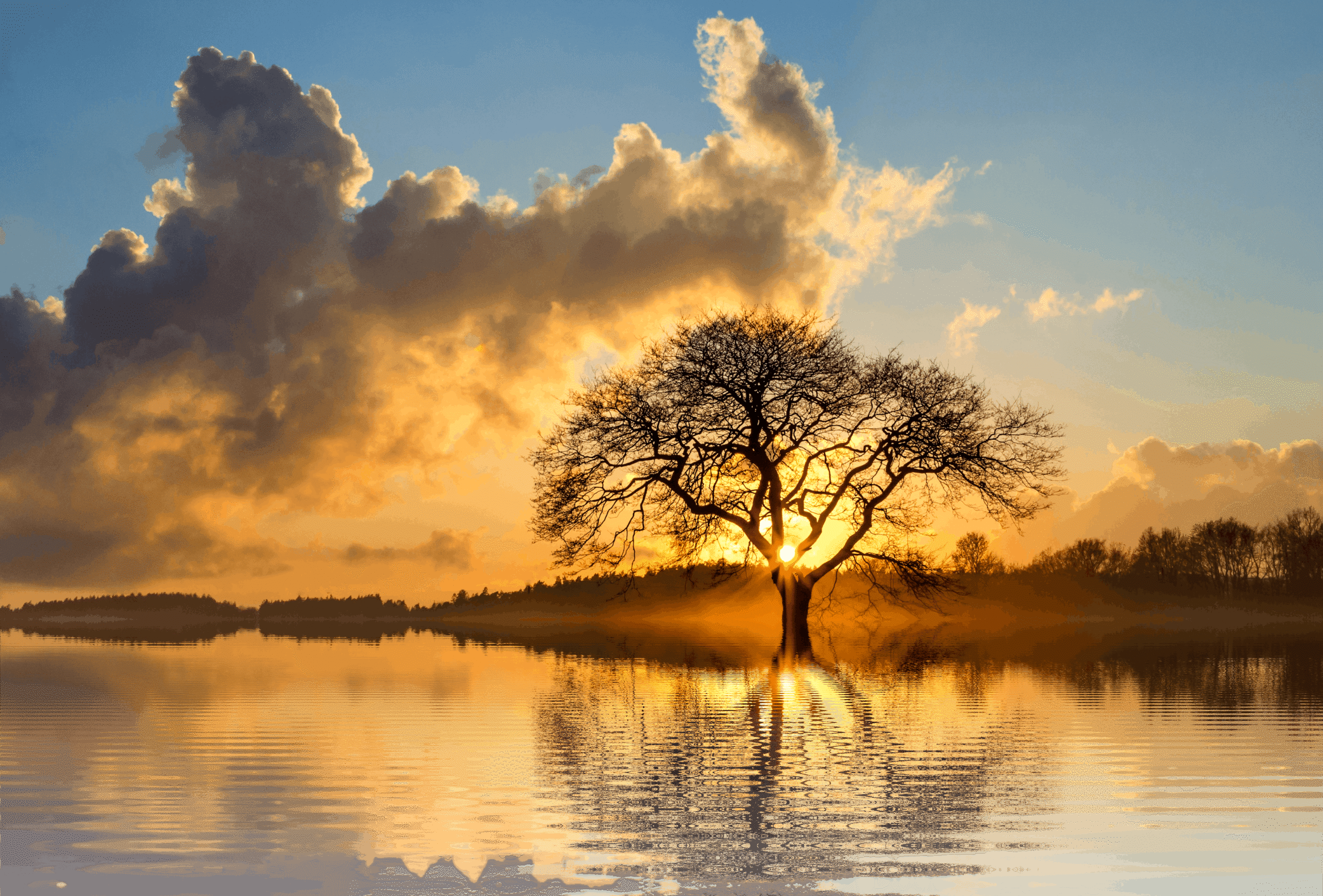 Coronary Artery Disease (CAD)